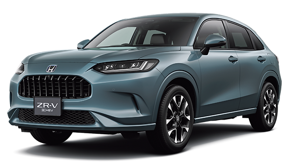 ZRV_Sport_Nordic_Forest-0-600-0-600 (1)